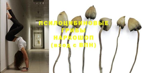 PSILOCYBIN Абаза