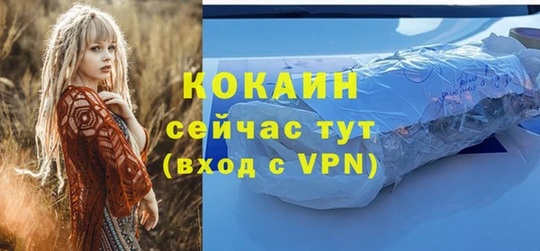 PSILOCYBIN Абаза
