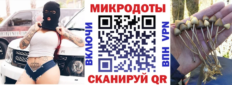 что такое наркотик  Шилка  мега   Галлюциногенные грибы MAGIC MUSHROOMS 