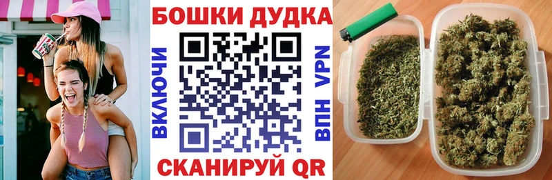Шишки марихуана гибрид  Шилка 